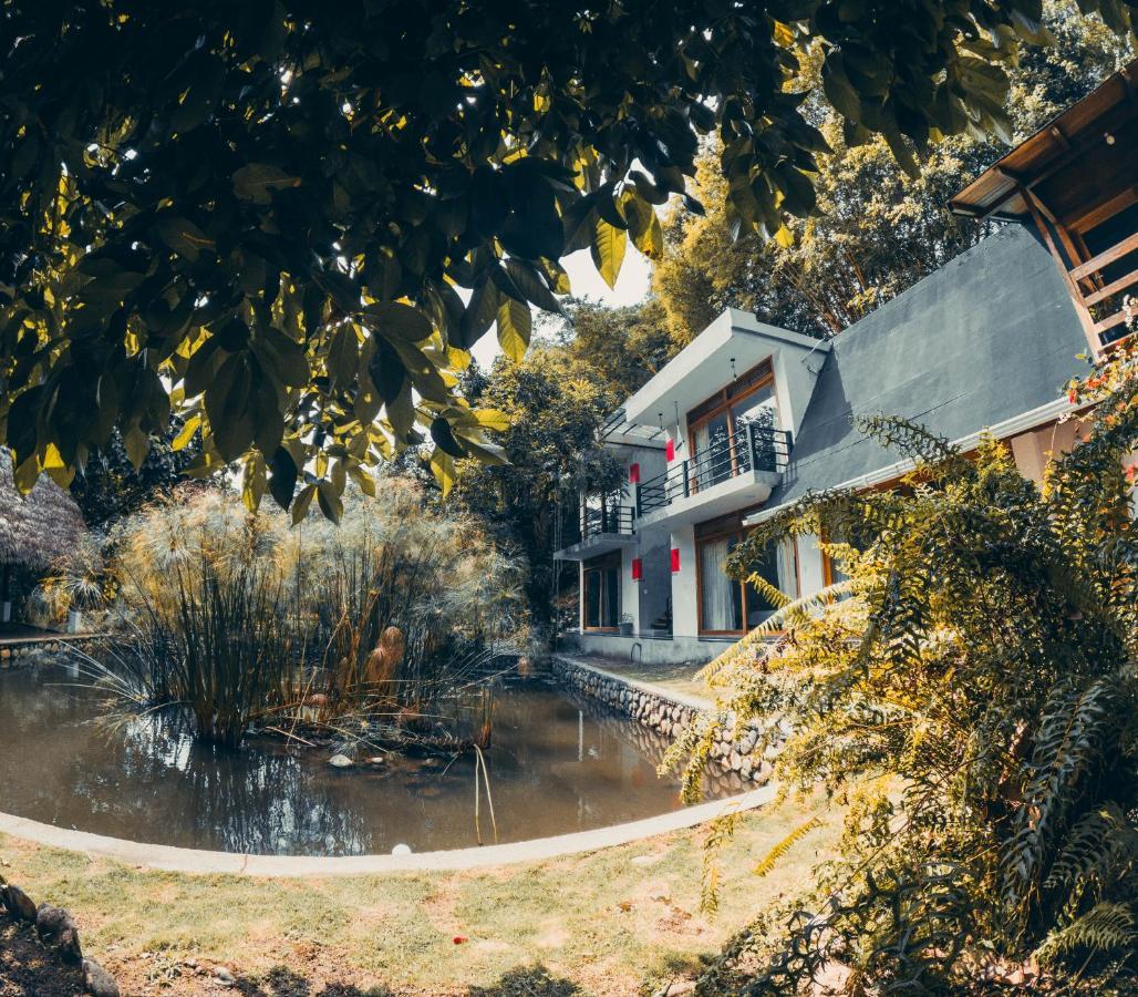 Tagua Lodge Tena Luaran gambar