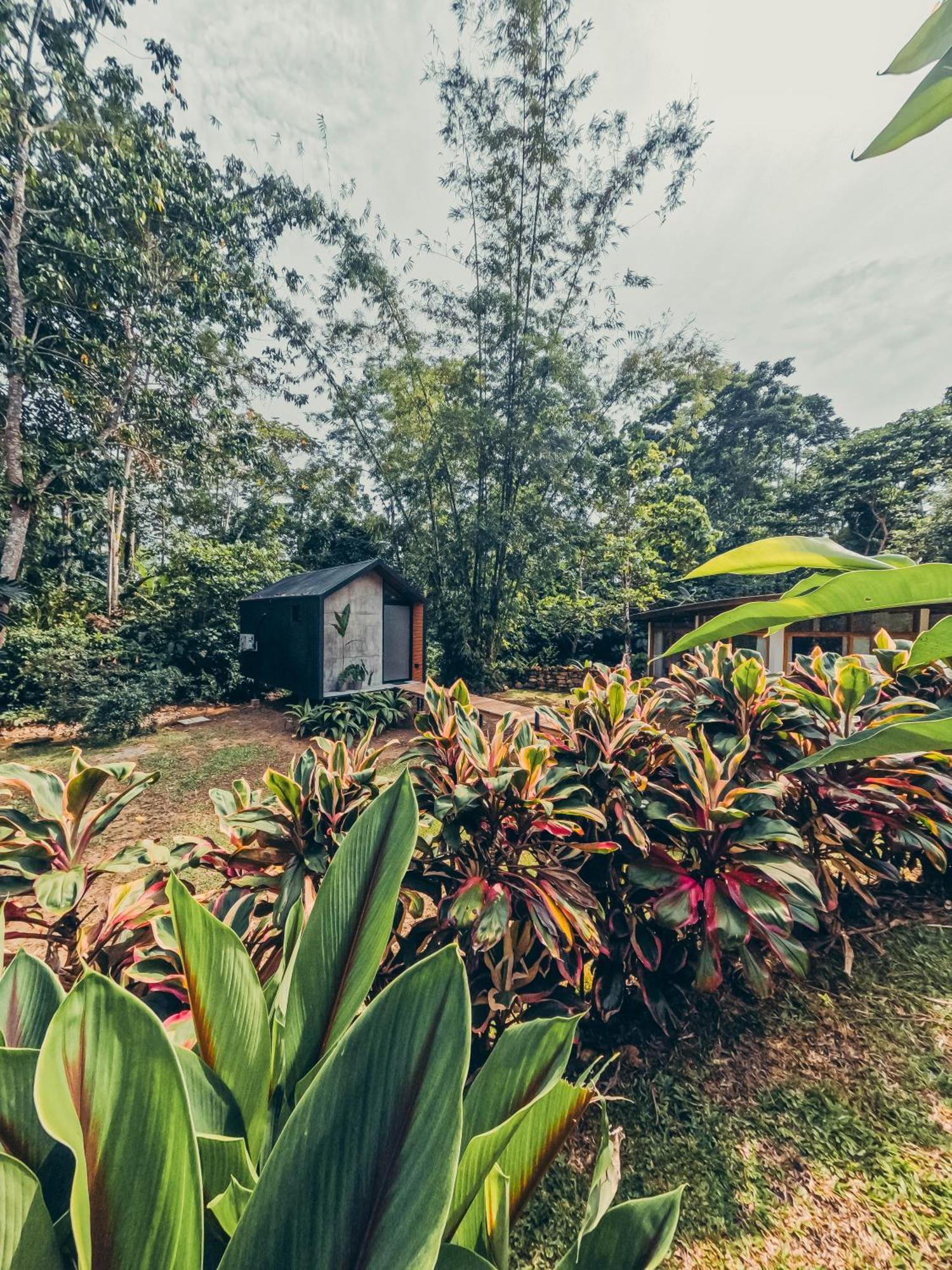 Tagua Lodge Tena Luaran gambar