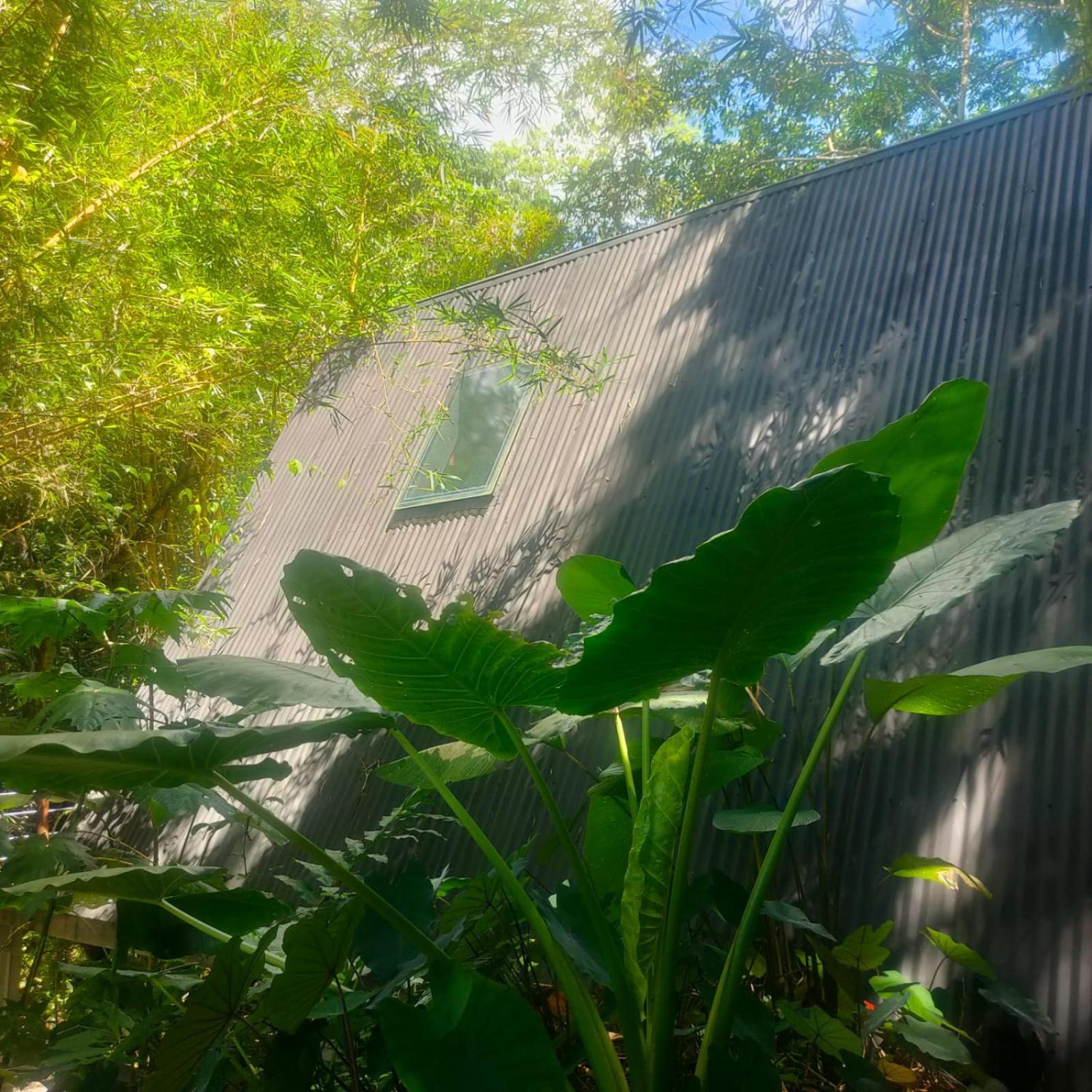 Tagua Lodge Tena Luaran gambar