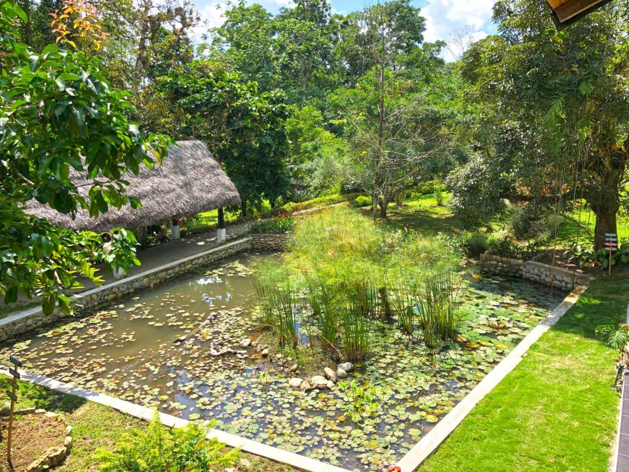 Tagua Lodge Tena Luaran gambar